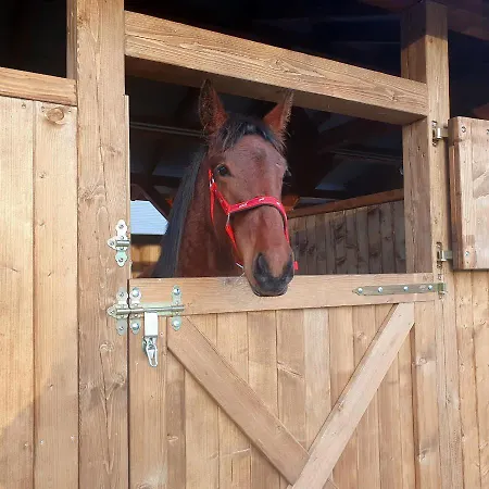 Pansiyon Szczere Pole Nad Morzem