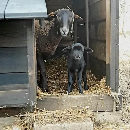 Szczere Pole Nad Morzem Kwatera prywatna