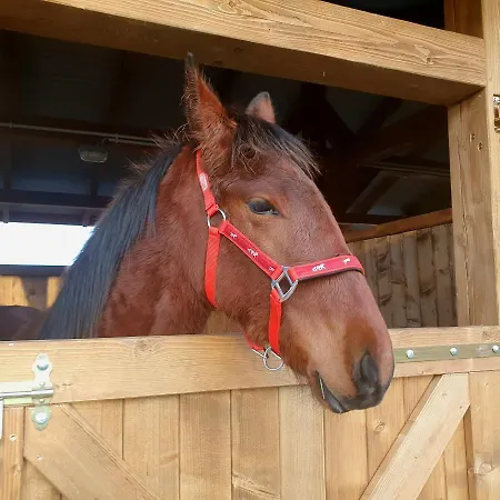 Szczere Pole Nad Morzem * Strzezenice