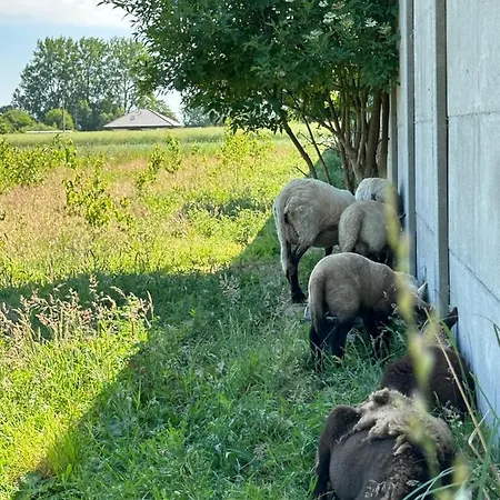 Szczere Pole Nad Morzem