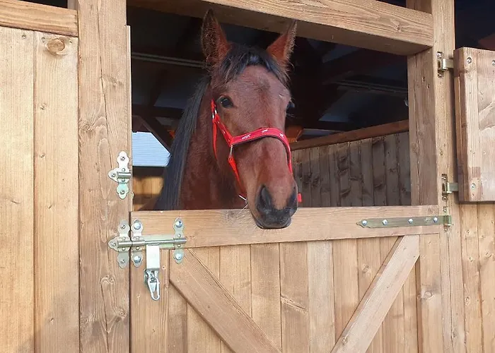 Habitación en casa particular Szczere Pole Nad Morzem