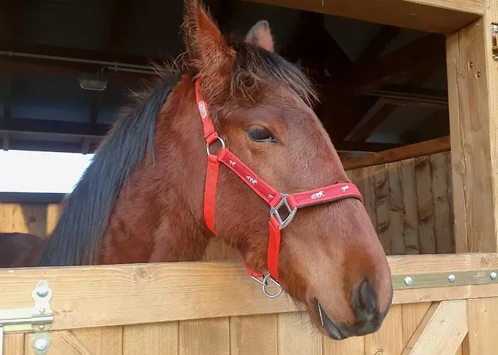 Szczere Pole Nad Morzem * Strzezenice