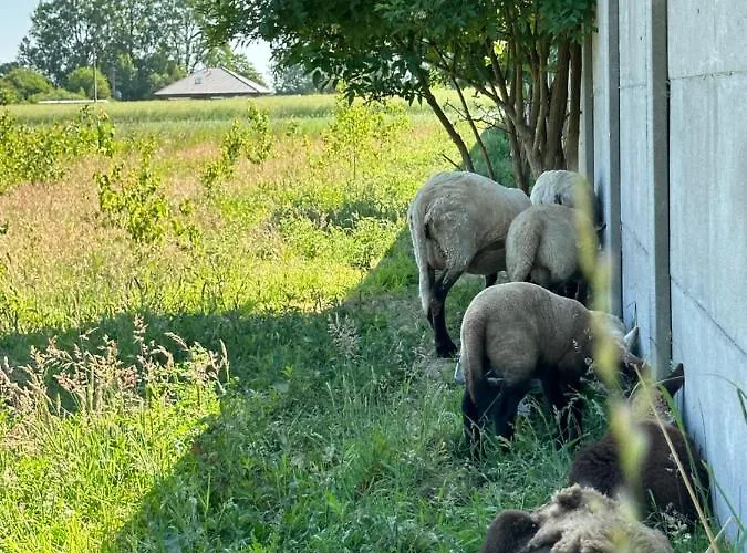 Szczere Pole Nad Morzem